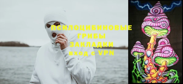 соль курить ск Богородицк
