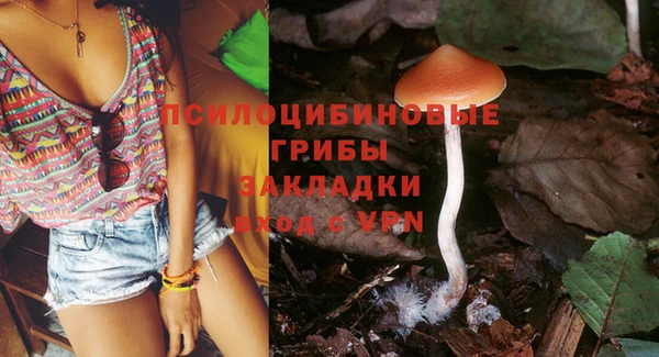 твердый Богданович