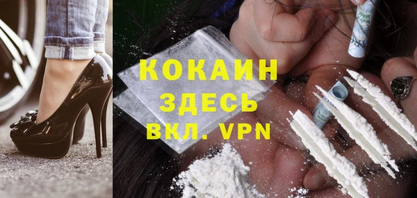 твердый Богданович