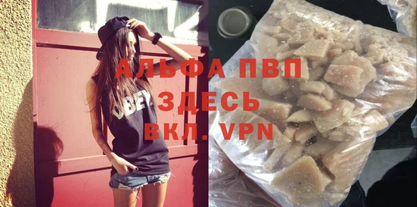 твердый Богданович