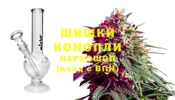 твердый Богданович