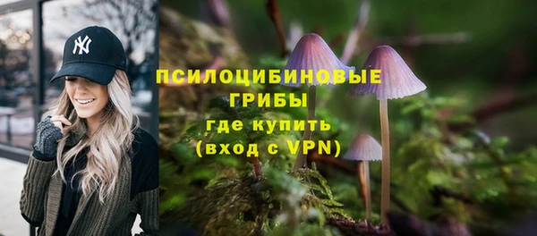 твердый Богданович
